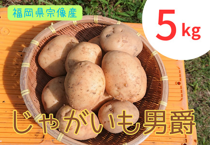 循環型有機肥料で育った男爵いも 5kg[アグリCATS]
