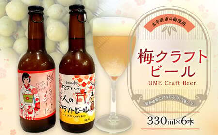 梅クラフトビール 330ml×6本