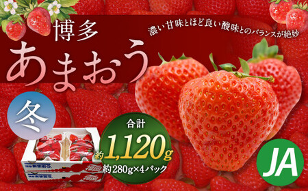 博多 あまおう 4パック(冬)[2024年12月上旬〜2025年1月下旬発送予定]