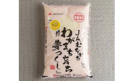 [令和6年産]福岡の美味しいお米 夢つくし 5kg 精米 お米 米 ブランド米 福岡県産 国産