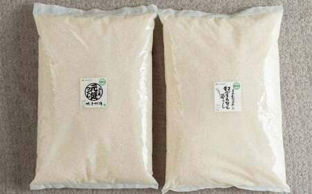 [令和6年産]福岡の美味しいお米 夢つくし & 元気つくし 各2.5kg 合計5kg 精米 お米 米 ブランド米 福岡県産 国産