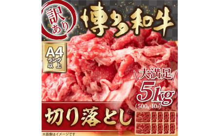 󂠂I a ؂藎Ƃ 5kg 500g×10pbN