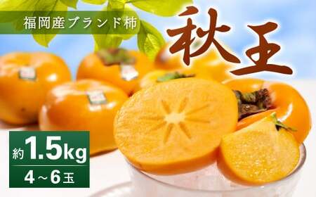 福岡県産 ブランド柿 秋王 約1.5kg (4-6玉) 柿 かき 果物 フルーツ 国産[2025年10月下旬〜11月下旬発送予定]