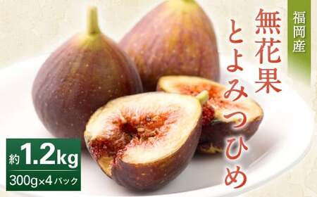 福岡県産 無花果 とよみつひめ 300g×4パック 合計1.2kg いちじく いちぢく フルーツ 果物 国産[2025年8月上旬〜10月下旬発送予定]