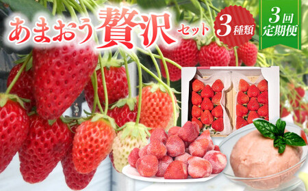 [予約受付・3回定期便]あまおう 贅沢セット いちご イチゴ フルーツ 果物[2026年3月上旬〜7月下旬発送予定]