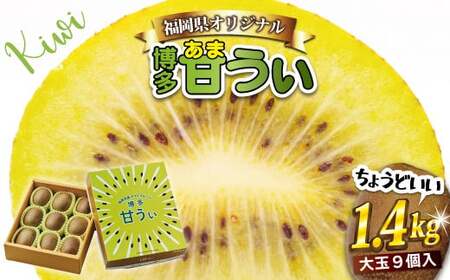 福岡県ブランドキウイフルーツ「 博多甘うぃ 」 化粧箱 大玉 9玉 約1.4kg [2025年11月上旬〜11月下旬発送予定]