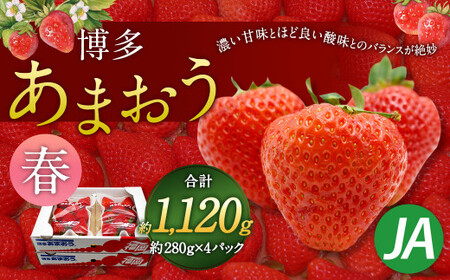 博多 あまおう 4パック(春)[2026年2月上旬〜4月下旬発送予定]