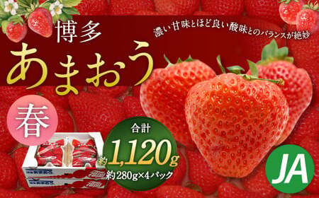 博多 あまおう 4パック(春)[2026年2月上旬〜4月下旬発送予定]