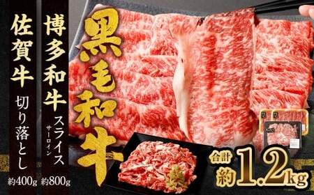 a XCXiT[Cj400g × 2pbN {ꋍ ؂藎Ƃ 400g v1.2kg a      Ԑg  o