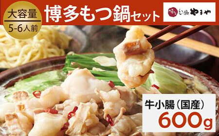 もつ鍋セット 牛もつたっぷり600g！大容量5-6人前(あごだし醤油味) 博多もつ鍋やまや  【2026年1月発送】