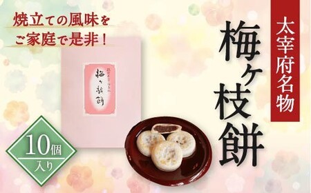 yɕ{z ~} 10     Qq  Ė Ă َq  yY Mtg v[g  Ⓚ