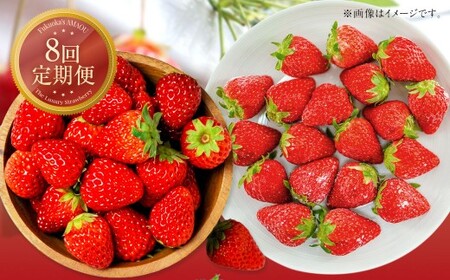 [8回定期便] [いちごの定期便] 福岡県産あまおう (フレッシュあまおう・冷凍あまおう) [2026年1月上旬〜9月下旬発送] いちご イチゴ 冷凍いちご あまおう 冷凍あまおう 果物 くだもの 国産 福岡県産 定期便 冷蔵 冷凍