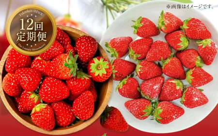 [12ヶ月定期便] [いちごの年間定期便] 福岡県産あまおう (フレッシュあまおう・冷凍あまおう) いちご イチゴ 冷凍いちご あまおう 冷凍あまおう 果物 くだもの 国産 福岡県産 定期便 冷蔵 冷凍