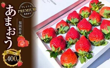 化粧箱入り プレミアムあまおう 約400g×1パック[ギフト・お祝い・贈答用][2026年2月上旬〜2026年4月上旬発送予定] EX いちご イチゴ 苺 あまおう EXグレード 果物 くだもの フルーツ 福岡県 太宰府市