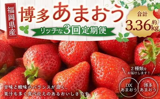 博多あまおうリッチな3回定期便 いちご イチゴ 苺 あまおう くだもの 果物 フルーツ 果実 果汁 果肉 定期便 定期 定期配送 国産 福岡県産 [ 2026年12月上旬〜2027年2月下旬発送予定 ]