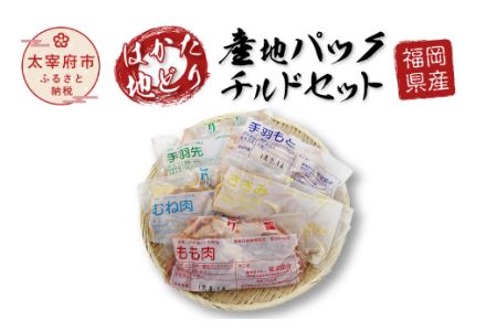 福岡県産 はかた地どり 産地パック チルドセット