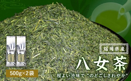 福岡県産 八女茶100%( 500g 袋詰 × 2袋 )計1kg お茶 煎茶