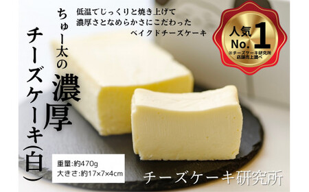 ちゅー太の濃厚チーズケーキ（白） ケーキ 菓子 福岡県産品