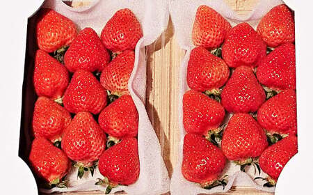 【2024年2月上旬より順次発送】 あまおう DX 約280g × 4パック 合計約1.1kg いちご 苺 イチゴ フルーツ 果物
