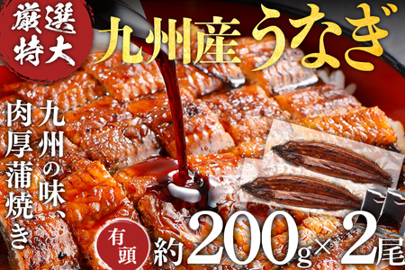 [緊急支援品]九州産うなぎ2尾 国産 厳選特大 有頭 200g 2尾 蒲焼き 肉厚 ジューシー ふっくら 別添えタレ付き 九州 グルメ お取り寄せ