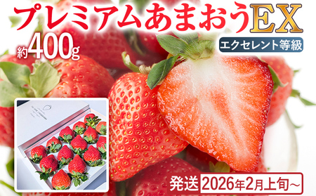 v~A ܂ EXiϔj t[c ʕ ܂ 400g×1pbN   C`S ϔ y2026N2{`2026N4{z