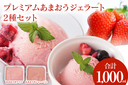プレミアムあまおうジェラート2種セット 500ml×2 合計1000ml 苺 イチゴ 氷菓 スイーツ アイス シャーベット 冷凍 福岡県産 送料無料