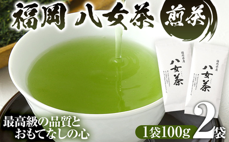 福岡 八女茶 煎茶 200g(100g×2袋)お茶 緑茶 原野製茶 奥八女 八女 茶葉 福岡県 福岡 九州 グルメ お取り寄せ メール便(ポスト投函)