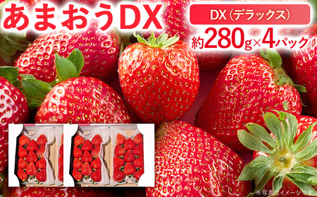 y2026N2{菇z ܂DX 280g×4pbN   t[c ʕ    B O 
