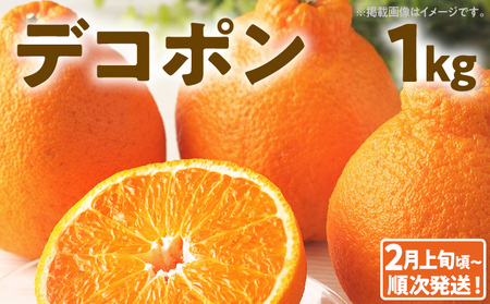 期間限定 デコポン フルーツ 果物 くだもの 1kg 柑橘 甘い 濃厚 ジューシー 産地直送 デザート おやつ オレンジ 福岡県 福岡 九州 グルメ お取り寄せ [2月上旬頃から順次発送]