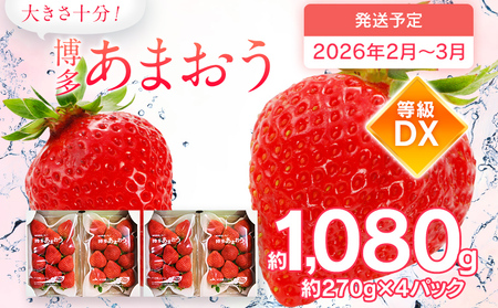 s\ ܂ v1,080g 270g×4pbN DX Y B C`S   ʕ  t[c y2026N2`2026N3z