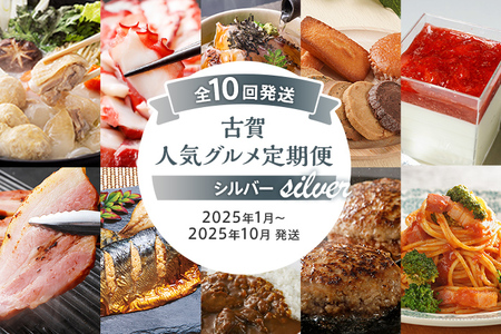 古賀人気グルメ定期便 シルバー【年10回発送】 (水炊き・真蛸・鯛茶漬け・焼き菓子・チーズケーキ・ベーコン・焼き魚・牛すじカレー・ハンバーグ・ピエトロパスタ) 定期発送 冷凍 送料無料 【2025年1月～10月まで計10回お届け】