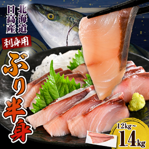 y2025N10ȍ~zy}fz(t[Y)kCYԂ蔼g1.2kg`1.4kgyer002-077-bz