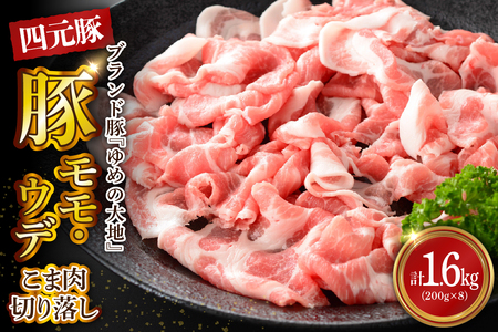 [えりも町生まれ 四元豚]ゆめの大地豚肉切落し(モモ・ウデこま肉)200g×8パック 計1.6kg[er020-007]