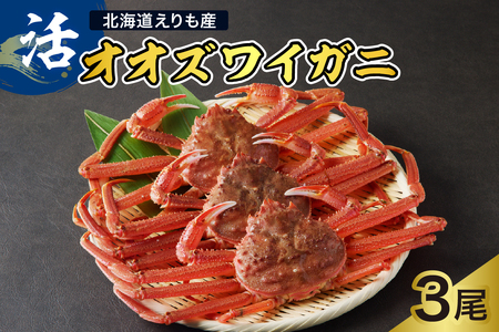 �y2026�N1�����{�ȍ~�����z���I�I�Y���C�K�j3���y������Y�z�yer004-009-e�z�� �I�I�Y���C�K�j 1��������  ��Y���C ��Y���C�K�j �Y���C�K�j �Y���C ���� �I ���� �C�N �V�N �� �l�C ��������