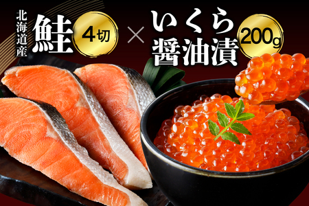 北海道産鮭薄塩切身といくら醤油漬Aセット[er003-004-a]鮭 さけ サケ イクラ いくら醬油漬け 醬油漬 塩鮭 紅鮭 塩漬 塩漬け 丼 イクラ丼 焼き魚 冷凍 冷凍便 魚介類 魚介 海鮮 海産物 特産 産地直送 国産 北海道産 北海道 えりも町