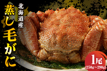 北海道産活蒸し毛蟹約250g〜約290g×1尾[er001-107]