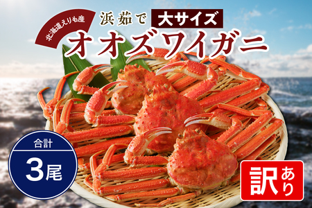 『訳あり』浜茹でオオズワイガニ3尾【えりも産】【er004-050-a】