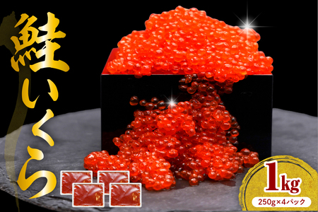 y}fzݖЂ250g×4yer002-099z