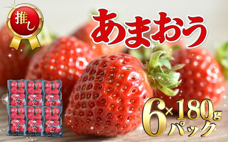 [2025年3月より順次発送]福津産あまおう約180g×6パック[F0151]