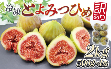 福岡県産いちじく「とよみつひめ」　冷凍パック2kg（500g×4袋）[G2327]