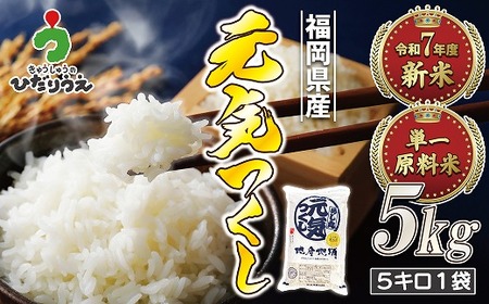 [令和7年産米][2025年11月より順次発送]JAよりお届け!福岡県ブランド米「元気つくし」 5kg(5kg×1袋)[G2310]
