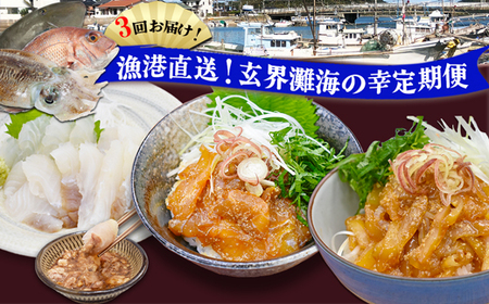 [3回届く!]漁港直送!玄界灘海の幸定期便★水揚げされたての高鮮度を活かした地魚刺身・漬けを3回お届け![G7059]