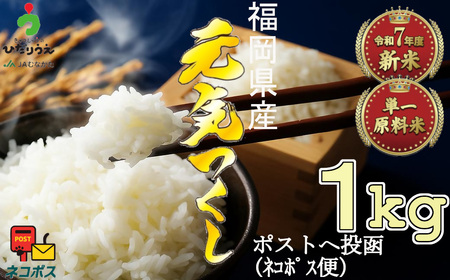 yߘa7NYāzJA肨͂IuhāuCv 1kg[G2305]