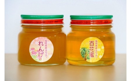 福岡県産はちみつ[れんげ・百花蜜セット]300g×2 [F2069]