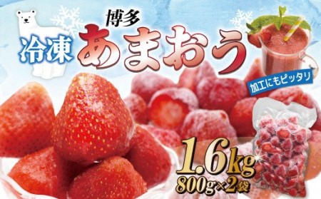冷凍「博多あまおう」800g×2袋　計1.6kg[E4001]
