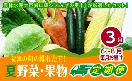 [3ヶ月定期便]穫れたて!夏野菜・果物定期便(6〜8月)★あんずの里[F7006]