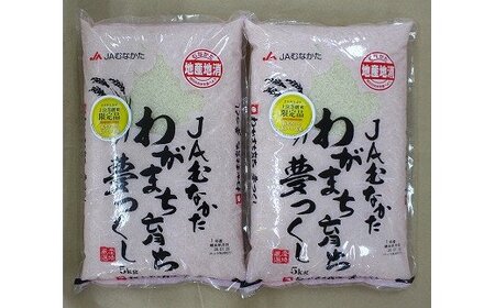 12ヶ月毎月★夢つくし10kg×12回 令和6年産【1月開始】[F5051a]