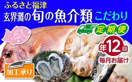 [年12回毎月]福津の旬の魚介類こだわり定期便[加工承り][随時開始][F6460]