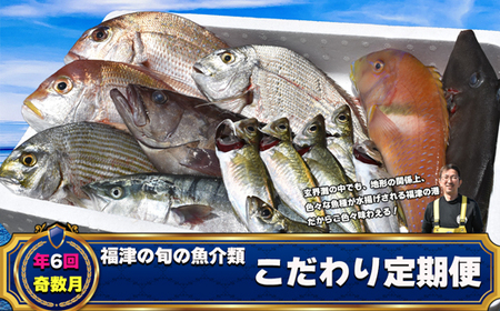 [年6回奇数月]福津の旬の魚介類こだわり定期便[随時開始][G7019]