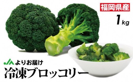 【福岡県産】冷凍ブロッコリー1kg（1kg×1袋）[E2256]